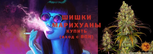 трава Козельск