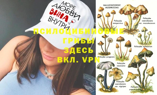 дживик Абаза