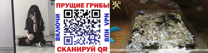 как найти Протвино Галлюциногенные грибы прущие грибы